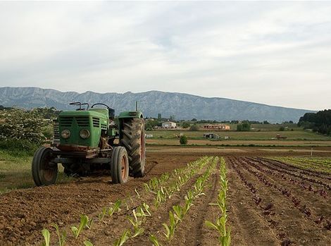 ruka, práca, zem, traktor, orba, farma, družstvo, poľnohospodárstvo, pole