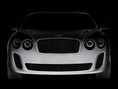 Bentley Biofuel Supercar