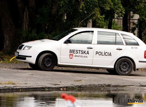 mestská polícia, mestskí policajti