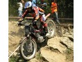 Trial