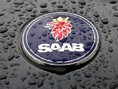 saab badge