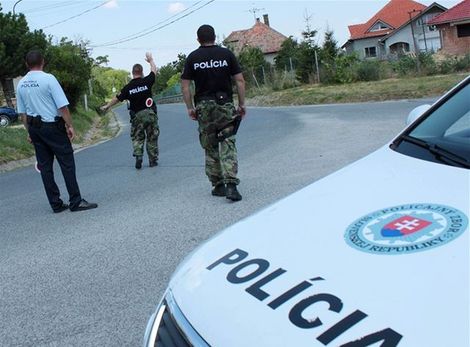 Polícia, Nitriansky hrádok