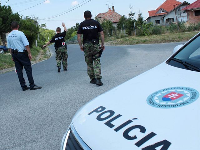 Polícia, Nitriansky hrádok