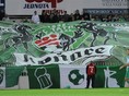 Tatran Prešov, fanúšikovia
