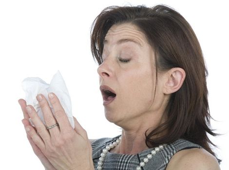 nádcha, kýchanie, prechladnutie, vírus, alergia, vreckovka