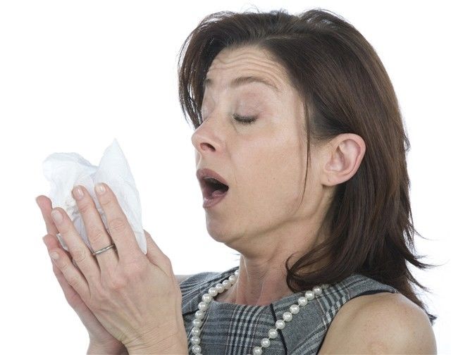 nádcha, kýchanie, prechladnutie, vírus, alergia, vreckovka
