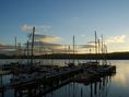 Valdivia