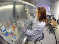 genetika, genetické testy, laboratórium, laborantka, výskum