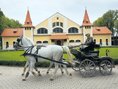 Žrebčín v Topoľčiankach