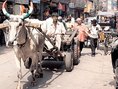 Dillí, India