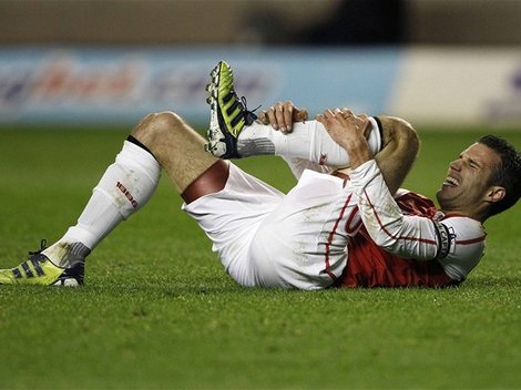 Robin van Persie 