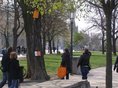 Z búdok pri Rudolfine znela cez víkend klasika v podobe vtáčieho trilkovania.