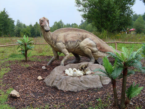 dinosaurus