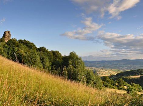 Poľana