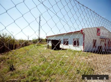 psy, plot, Košariská