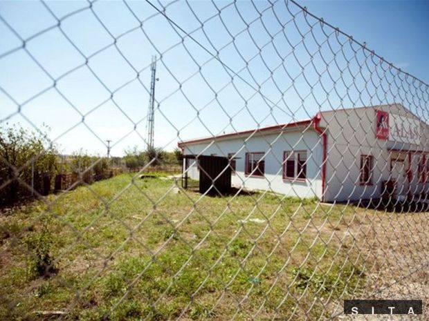 psy, plot, Košariská