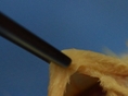 implantat