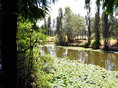 Chinampas