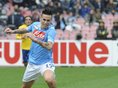 hamsik