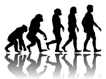 evolučná teória