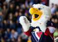 Slovan, harvey, maskot