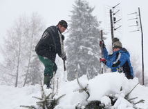Orava, sneh, kalamita