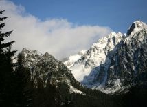 Vysoké Tatry, hory, les