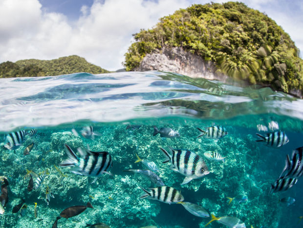 Palau