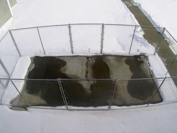 Ako vidieť, teplo spoľahlivo rozmrazí napadaný sneh.