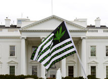 Americká vláda nemení postoj k marihuane, zjednoduší jej výskum