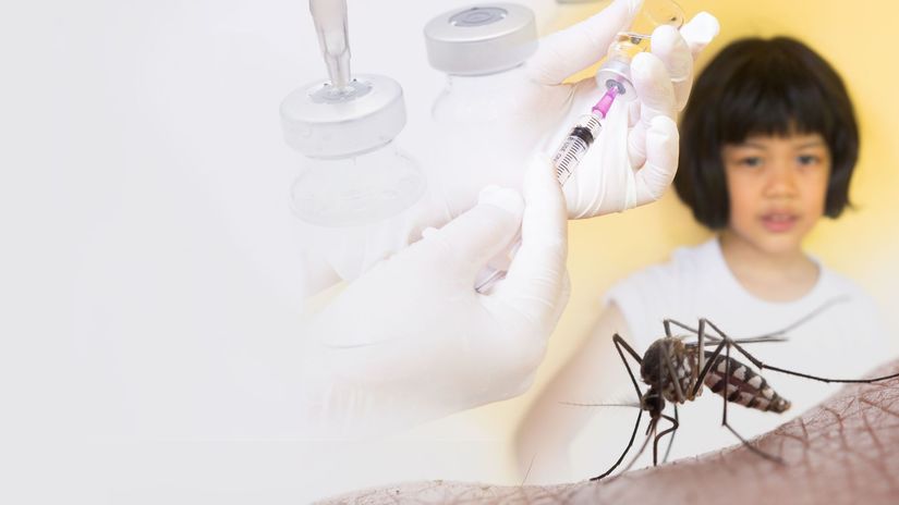 Les cas de dengue augmentent en France, le changement climatique y contribue – Humain – Science et technologie
