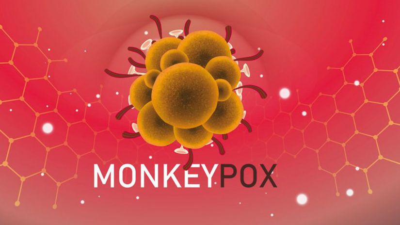 L’Allemagne, la France, la Belgique et le Canada ont signalé les premiers cas de singes infectés par la variole – Humain – Science et technologie