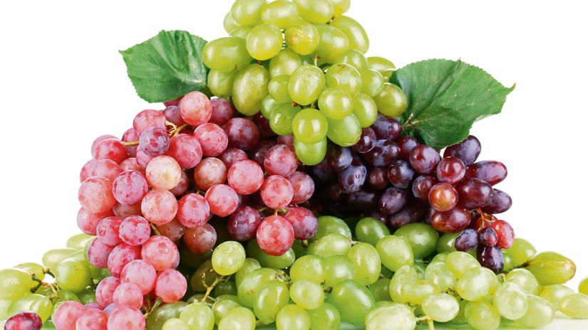 Il existe des fruits plus sains que les raisins, mais ne les abandonnez pas de toute façon.  Quelle partie de la baie est particulièrement bénéfique et pourquoi ?  – Jardin – Jardin