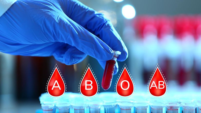 Quel groupe sanguin est sensible aux maladies infectieuses et lequel « s’entend » avec le froid ?  – Santé et prévention – Santé
