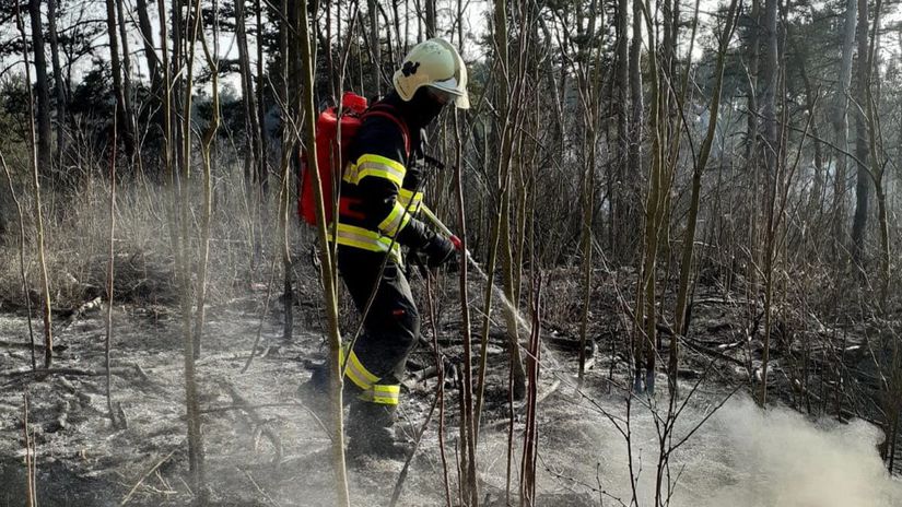 Un feu d’herbe sèche s’est déclaré près de Veľky Biela.  Les pompiers l’ont localisé – Régions – Actualités