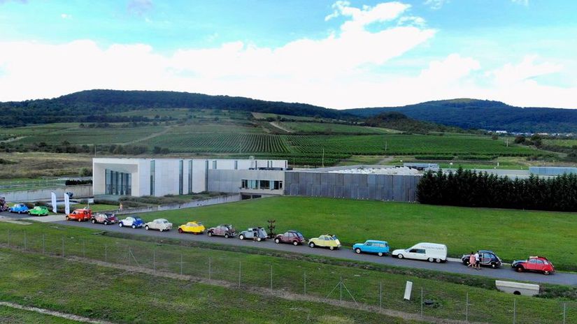 Les vignobles des environs de Pezinok et Modra ont enregistré une augmentation du nombre de « canards » – Magazín – Auto