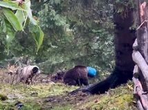 Dráma v Karpatoch. Video zachytilo zúfalý...