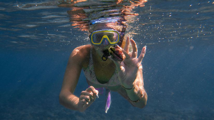 V Jadranskom mori sa udom&aacute;cňuje mnoho nev&iacute;tan&yacute;ch votrelcov. Najnov&scaron;ie sa pri pobrež&iacute; objavil &bdquo;chirurg" - kde v&scaron;ade "operuje"?