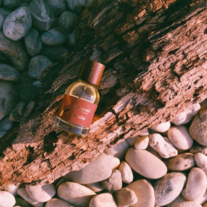 Vôňa BOOKARAZZI® Besteseller EdP