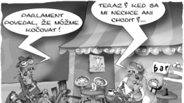 Lesyk 29. mája 2004