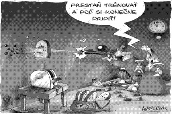 Karikatúra 31.12.2005