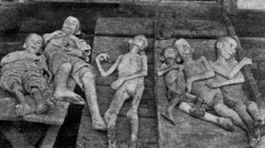 Ukrajina vs. Rusko: Proti hladomoru stojí názor o hlade