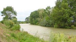 Inšpekcia po hlásenom úhyne rýb meria kvalitu vôd v Malom Dunaji