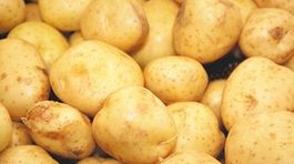Pestovanie zemiakov už nie je národné hoby