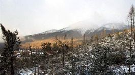 Tichá a Kôprová dolina prekypujú životom, tvrdia ochranári