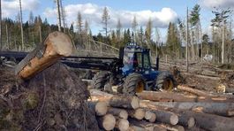 Drevo sa v Tichej a Kôprovej doline definitívne ťažiť nebude