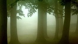 Košická zoo má novinku - náučný chodník Lužný les