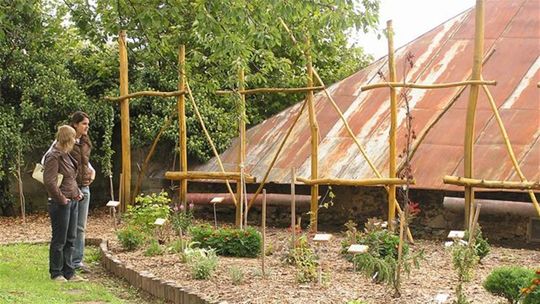 Za vytvorenie arbor&#233;ta p&#244;vodn&#253;ch...