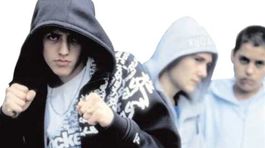 Virtuálne voľby: Mladí 'žerú' SaS