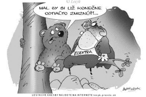 Karikatúra 16.11.2007